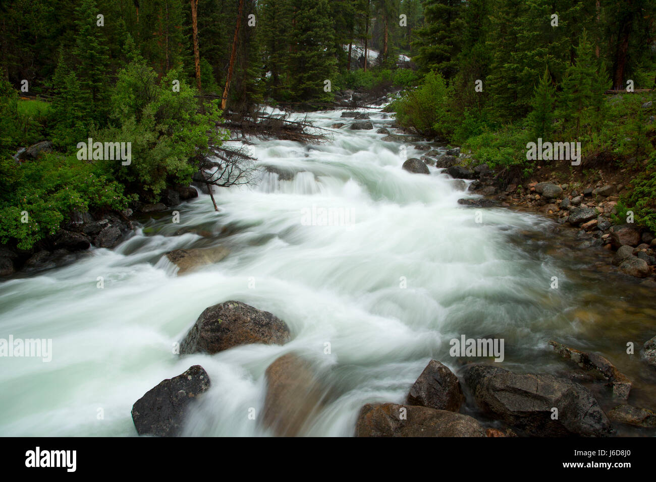 Crazy Creek, Shoshone National Forest, Beartooth Highway Scenic Byway, Wyoming Stock Photo