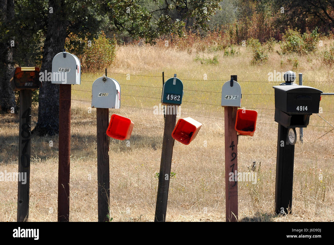 usa america communication letter mail post box newspaper journal tree trees Stock Photo