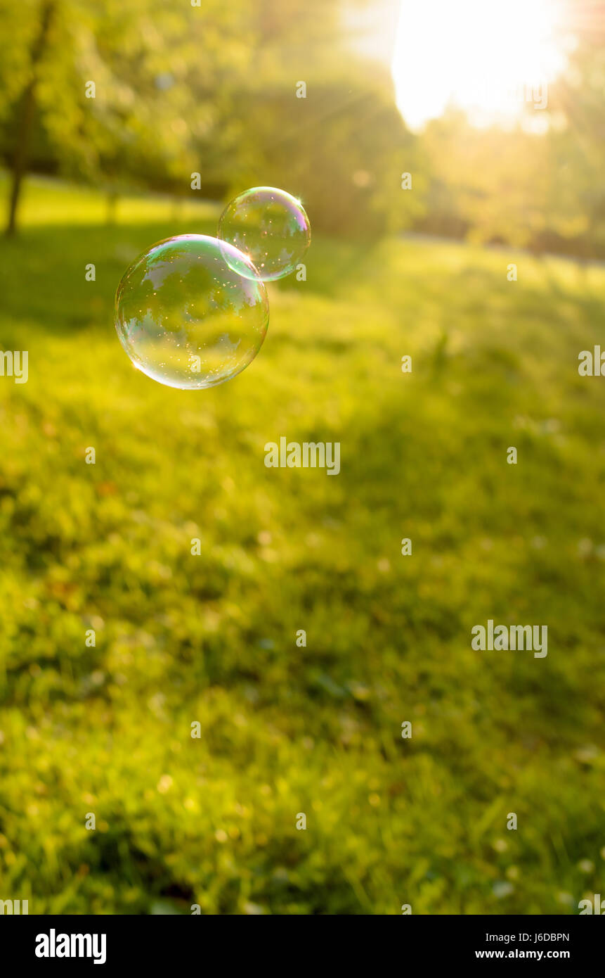 Bubbles float on a green lawn at sunset Stock Photo Alamy