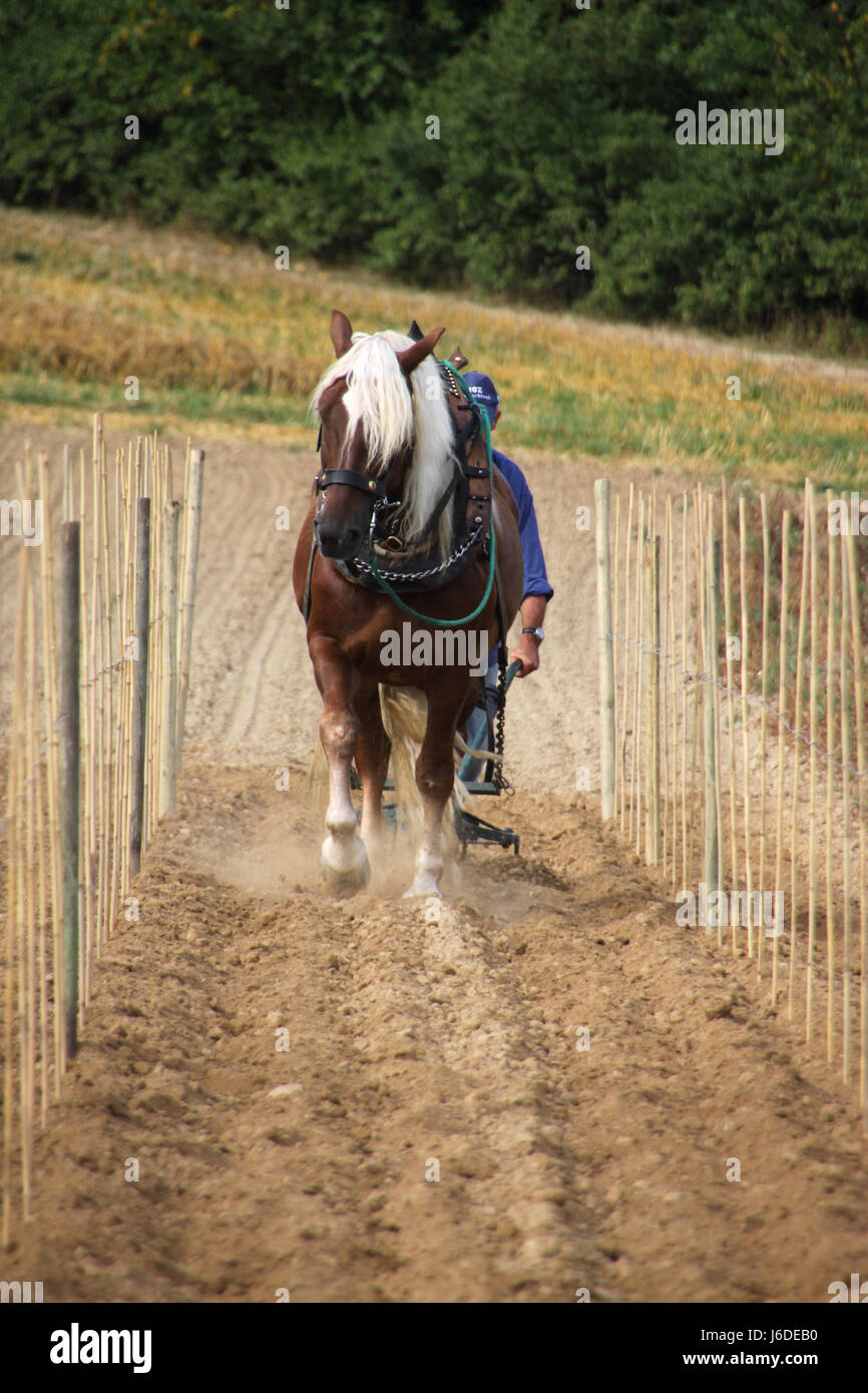 cause a stir Stock Photo Alamy