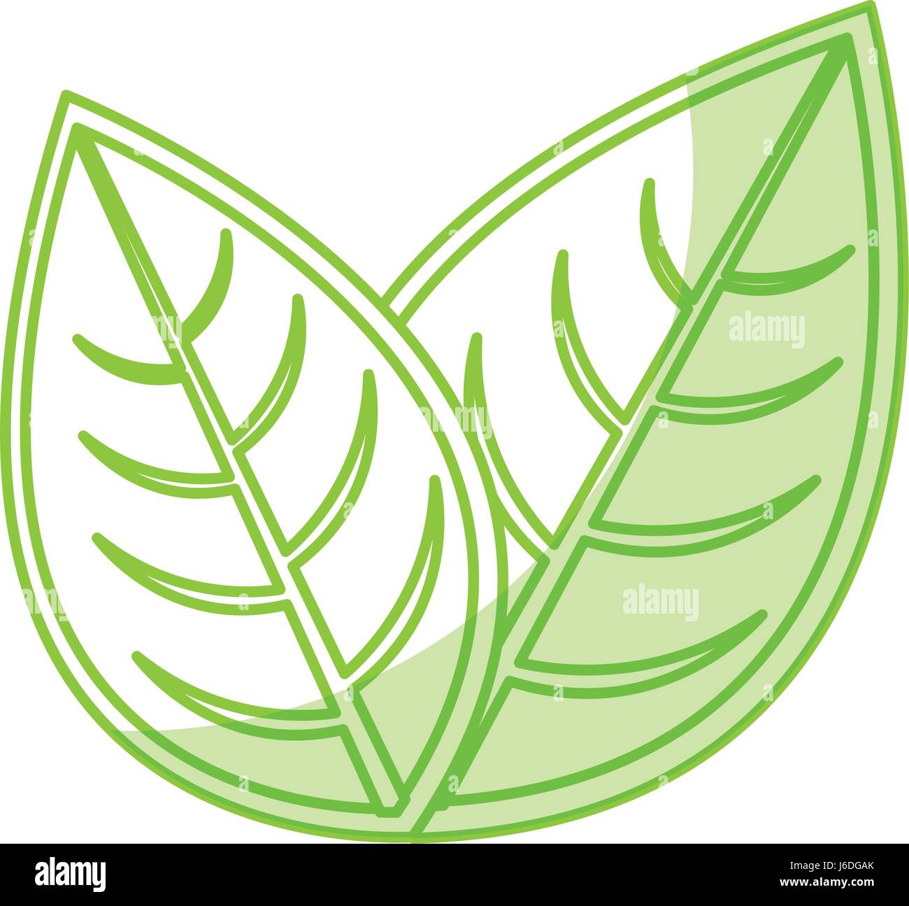 leaf plant seasonal icon Stock Vector Image & Art - Alamy
