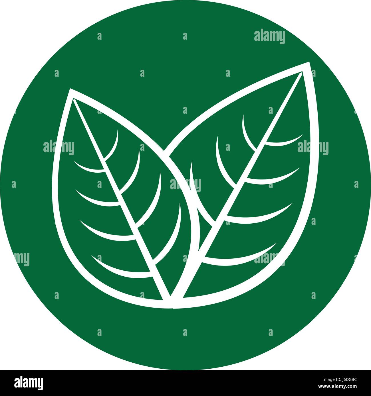leaf plant seasonal icon Stock Vector Image & Art - Alamy