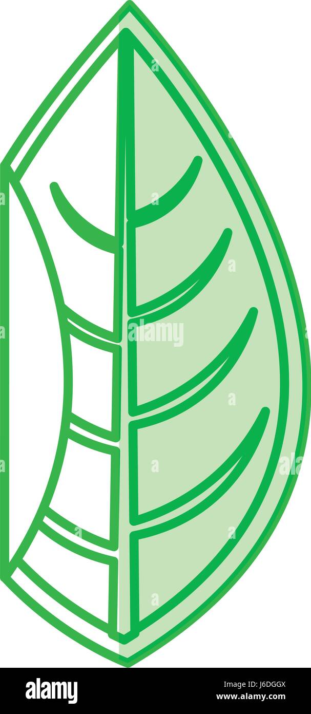 leaf plant seasonal icon Stock Vector Image & Art - Alamy