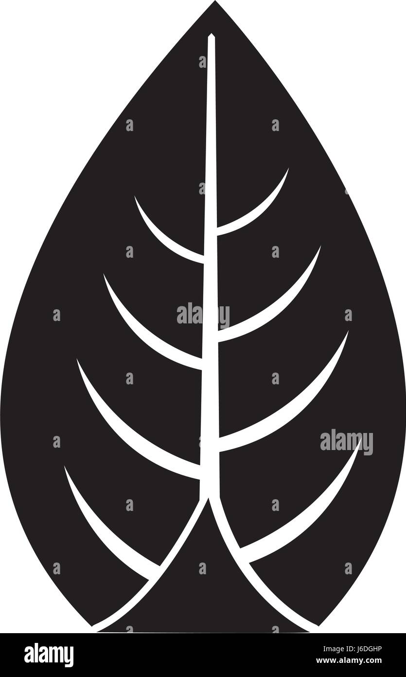 leaf plant seasonal icon Stock Vector Image & Art - Alamy