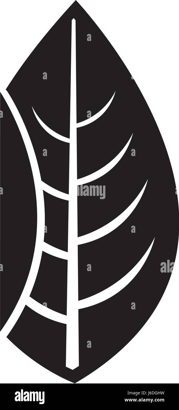 leaf plant seasonal icon Stock Vector Image & Art - Alamy