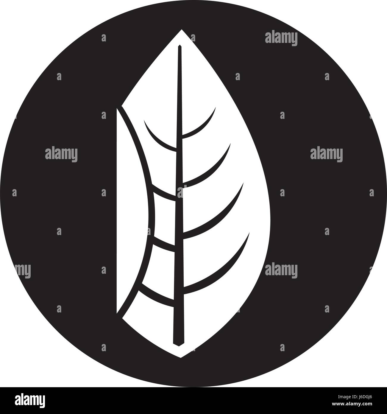 leaf plant seasonal icon Stock Vector Image & Art - Alamy