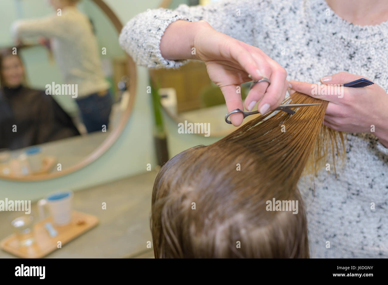 Hairdresser cutting wet hair Stock Photo Alamy