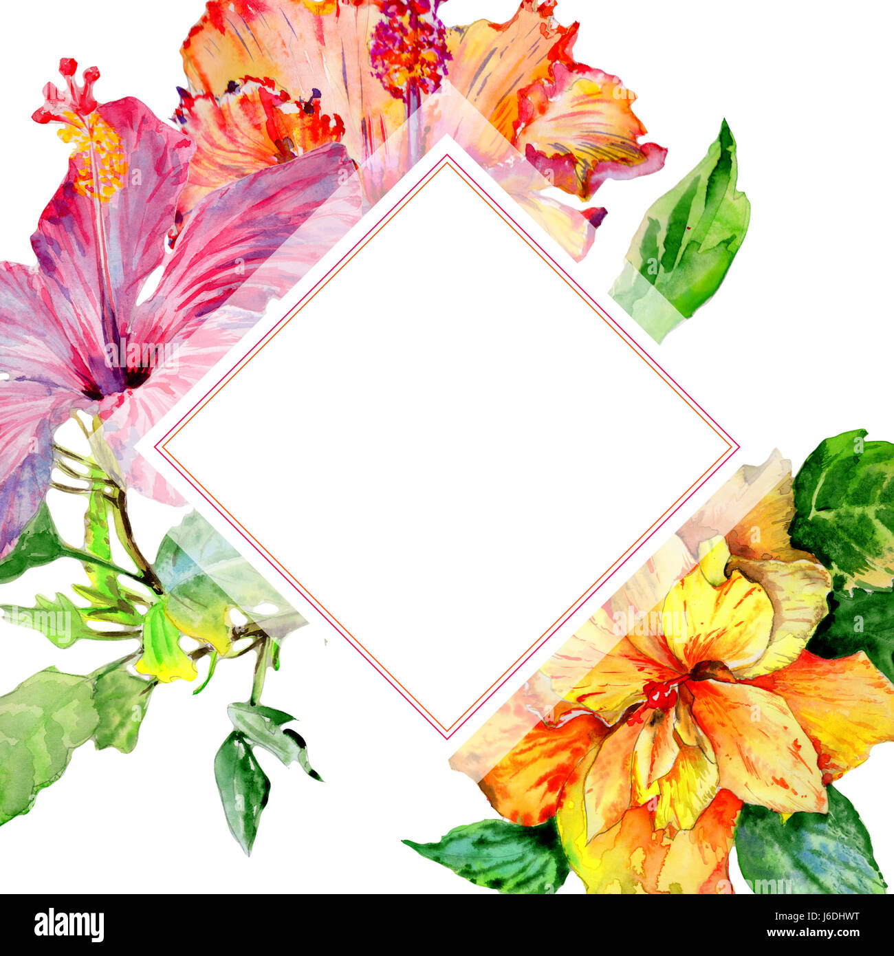 Wildflower hibiscus flower frame in a watercolor style isolated Stock