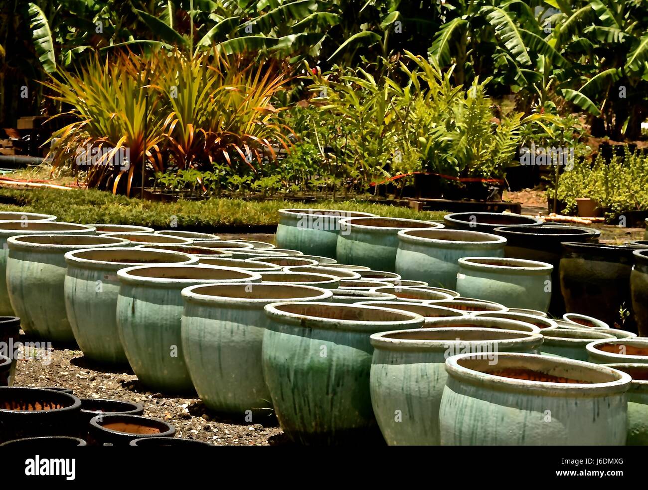 Round clay pots Stock Photo Alamy