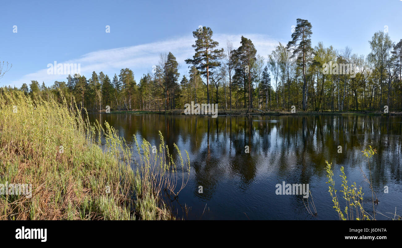 Panorama of the spring river. May water landscape in the national park ...