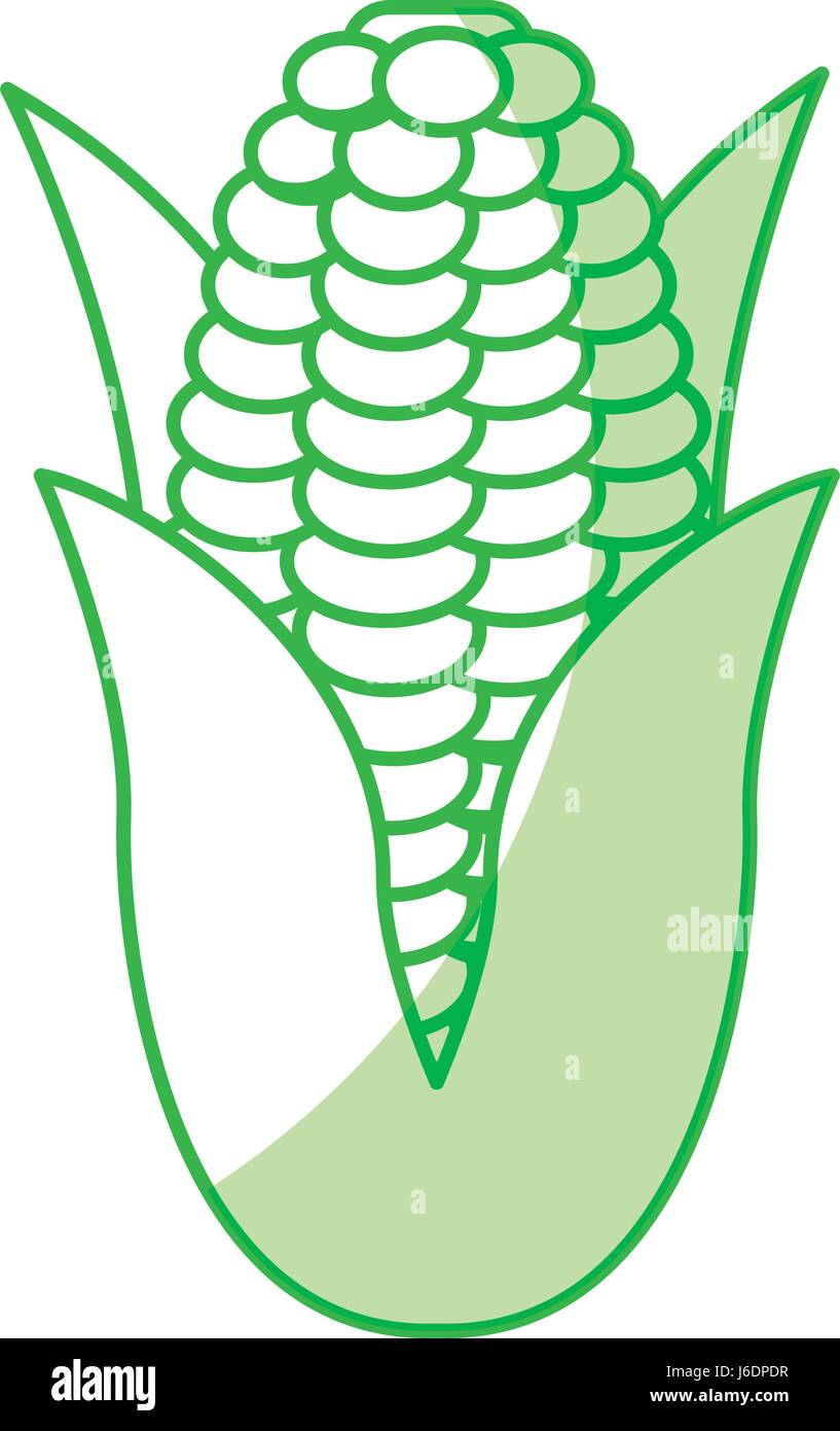 corn fresh vegetable icon Stock Vector Image & Art - Alamy