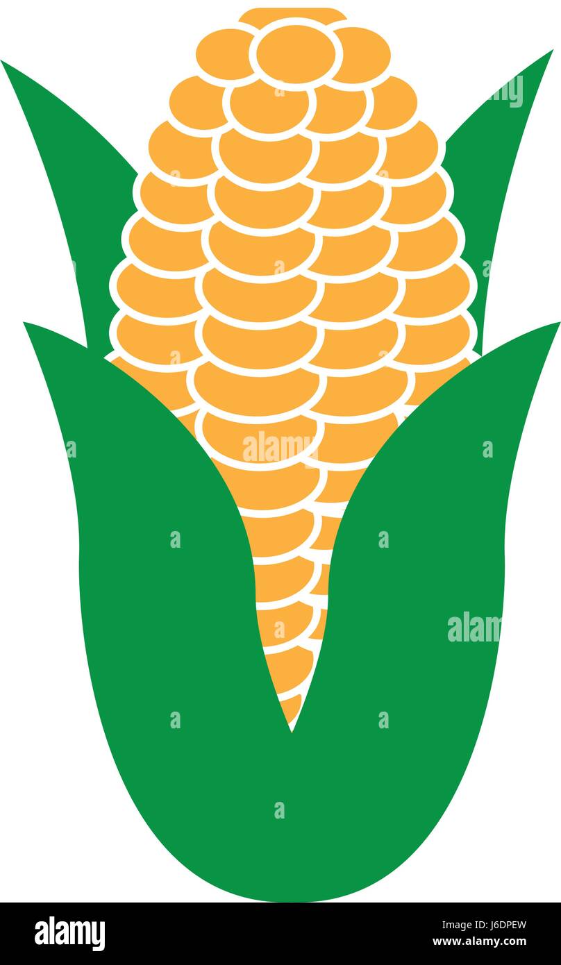 Artistic corn Stock Vector Images - Alamy