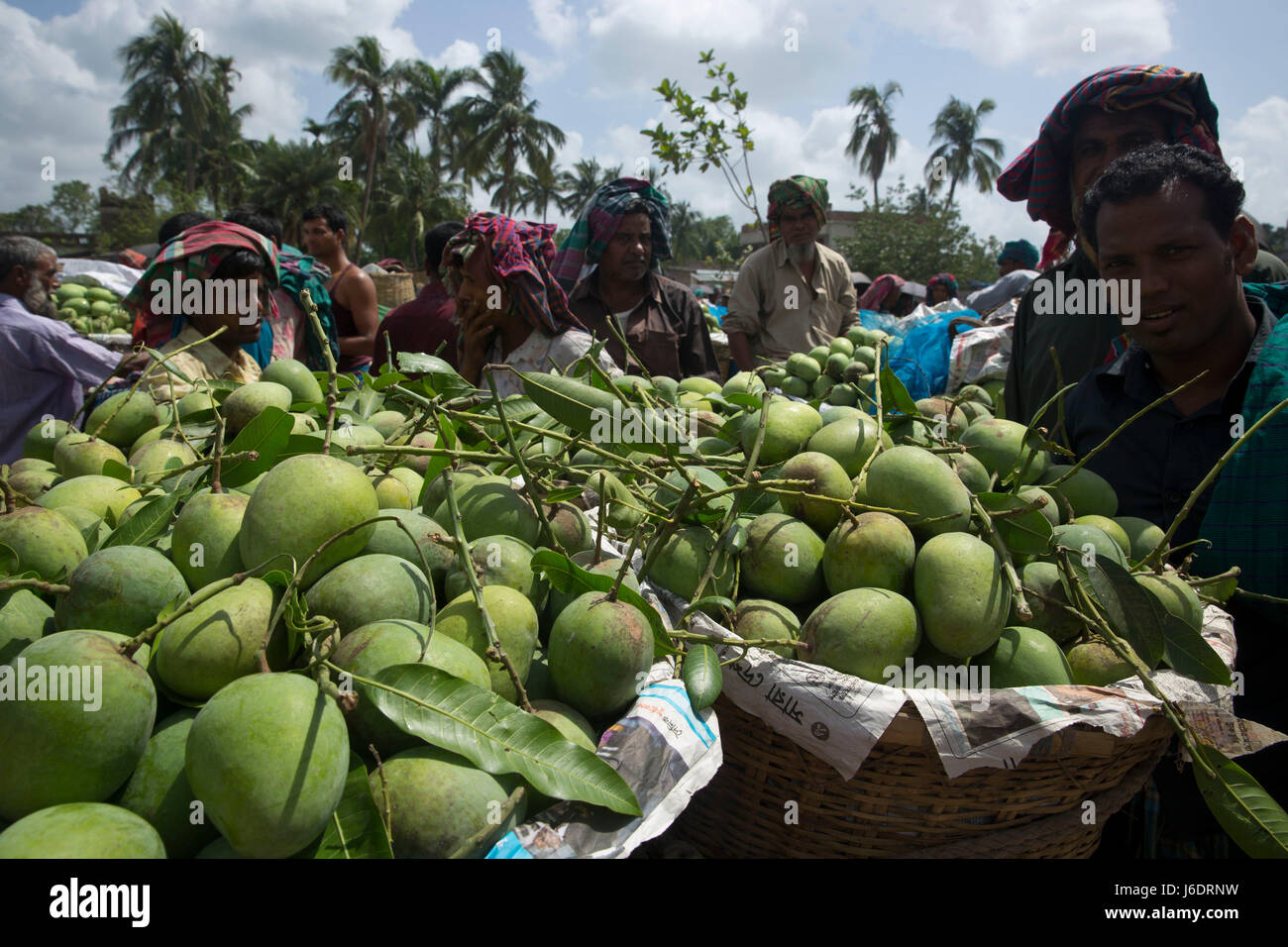 Mango market bangladesh hires stock photography and images Alamy