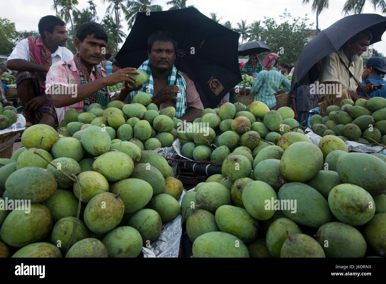 Mango market bangladesh hires stock photography and images Alamy