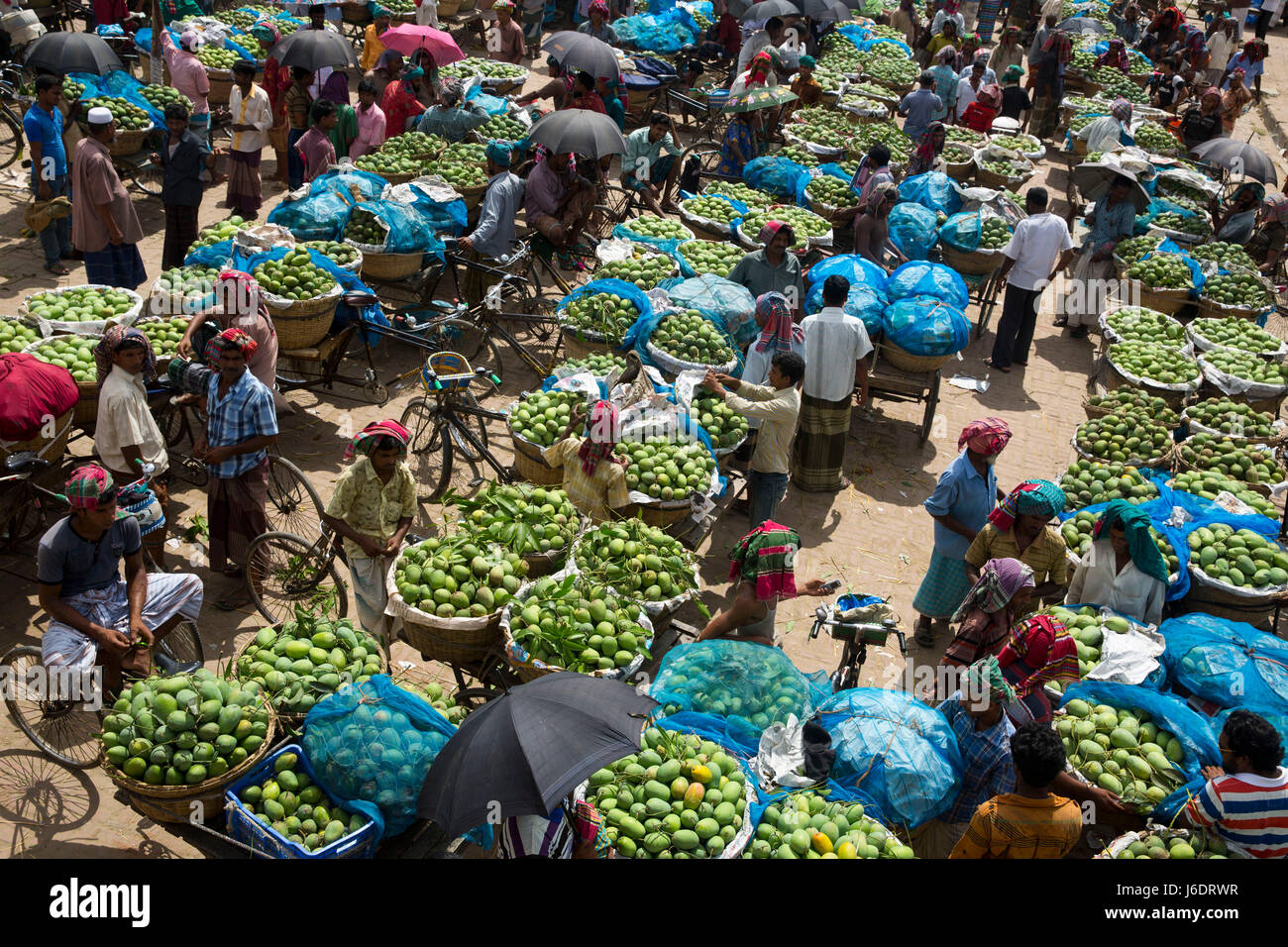 Kanshat mango market hires stock photography and images Alamy