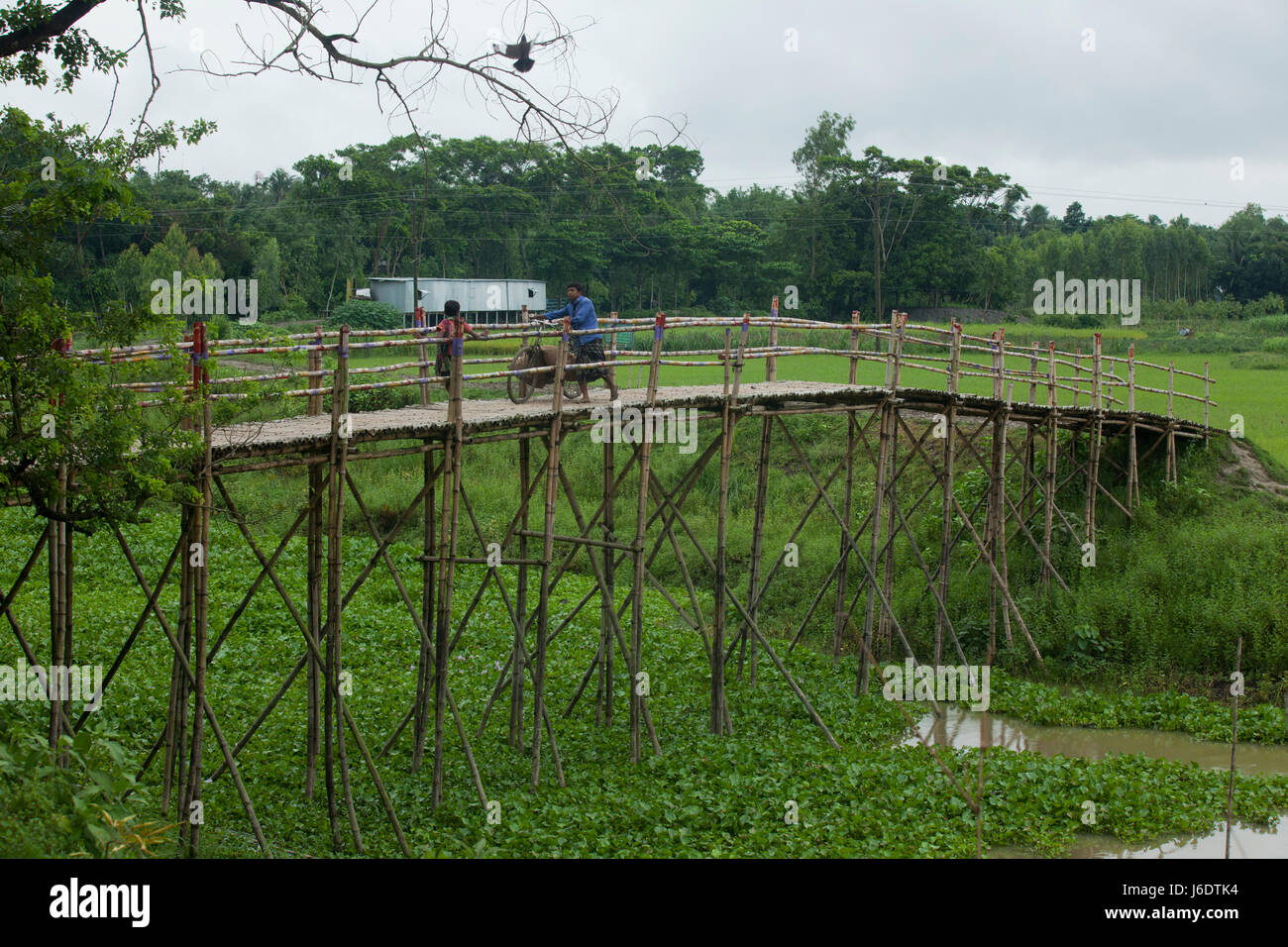 A makeshift bamboo bridge in Manikganj, Bangladesh Stock Photo