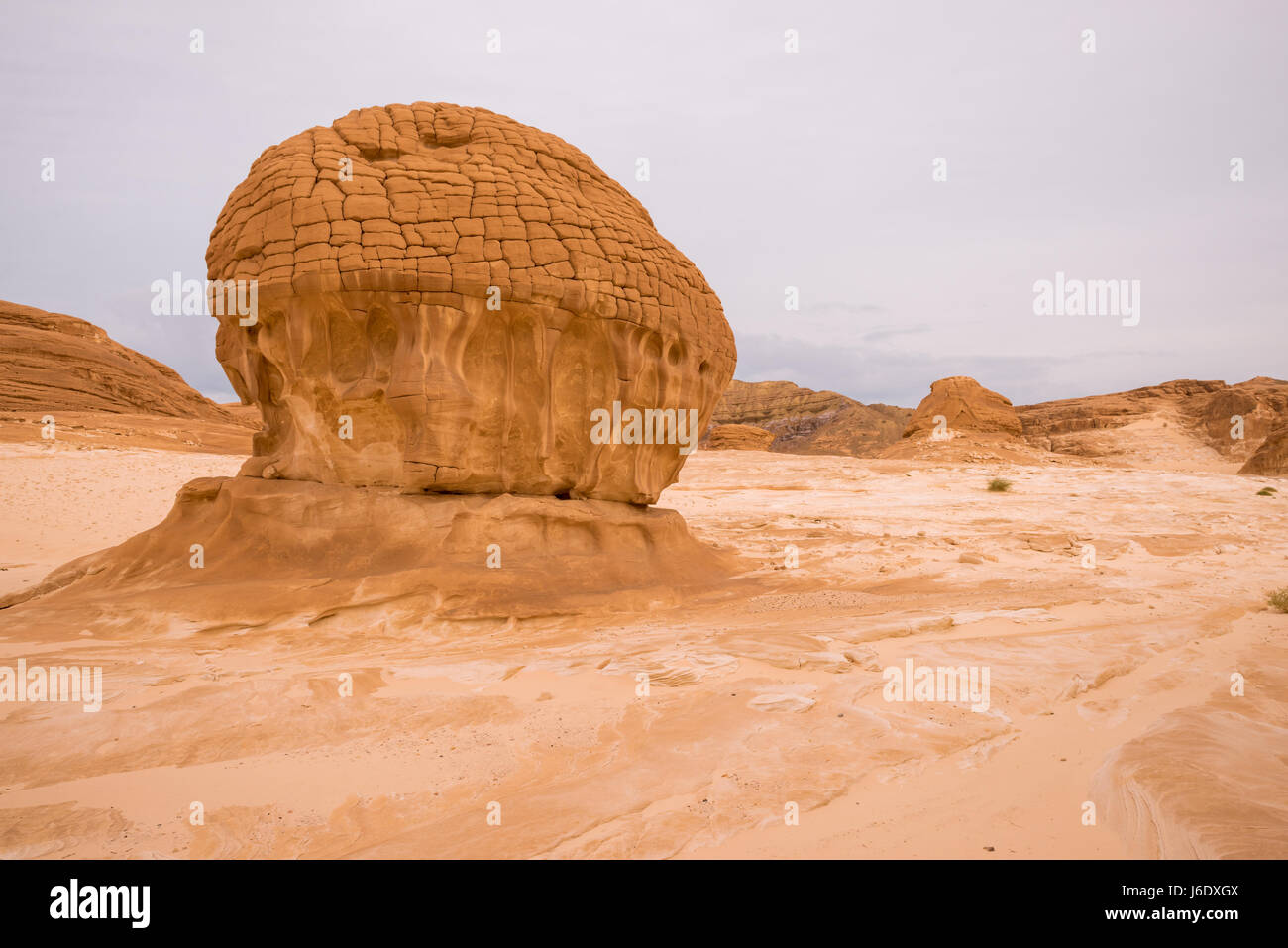Gold arid desert landscape Sinai, Egypt Stock Photo