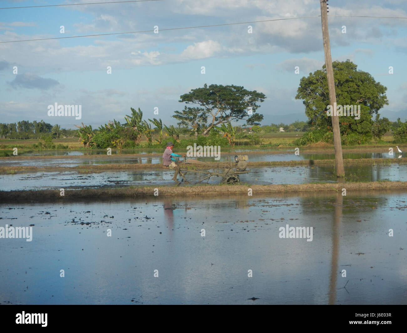 The paddy fields in Parcutela, San Isidro, Gapan City, located along ...
