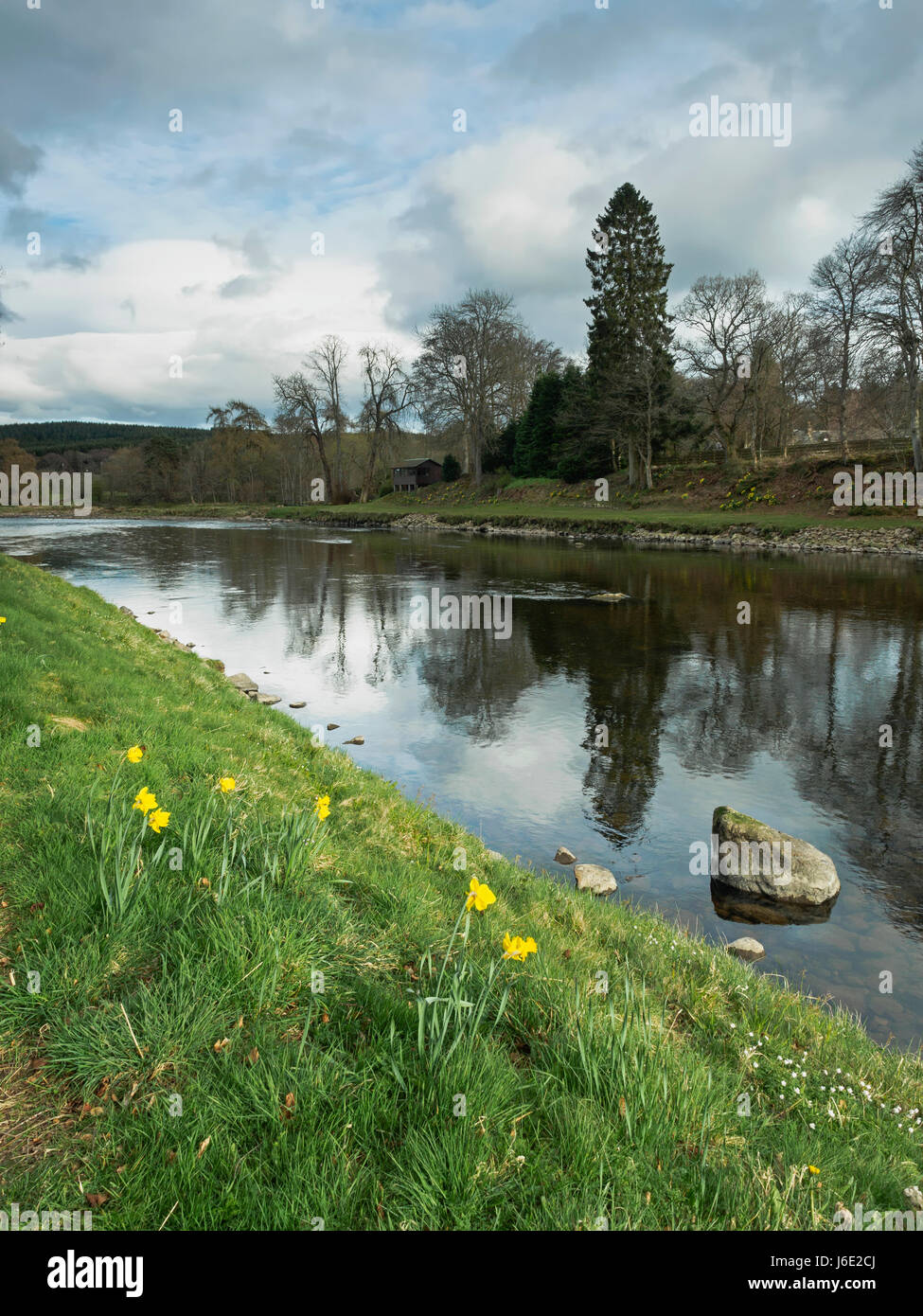 The River Dee near Banchory, Aberdeenshire Stock Photo