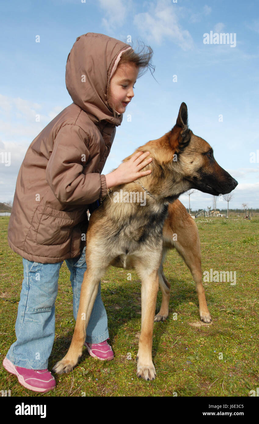 pet dog shepherd belgian child laugh laughs laughing twit giggle smile smiling Stock Photo