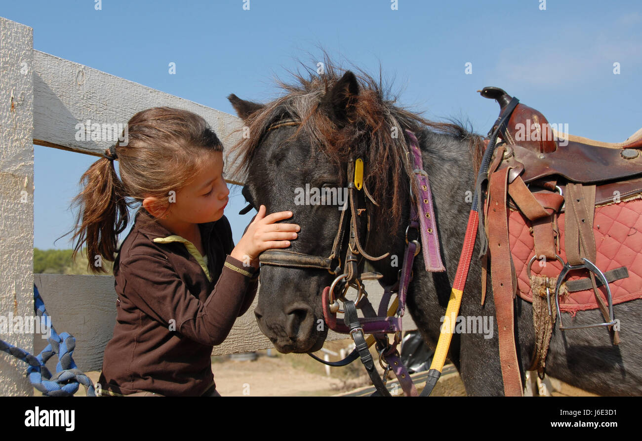horse small tiny little short pony child girl girls friendship sport sports Stock Photo