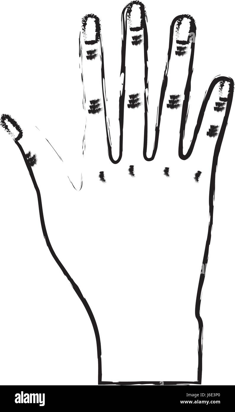 Figure Nice Hand With All Fingers And Nails Stock Vector Image Art Alamy Figure Nice Hand With All Fingers And Nails Stock Vector Image Art Alamy