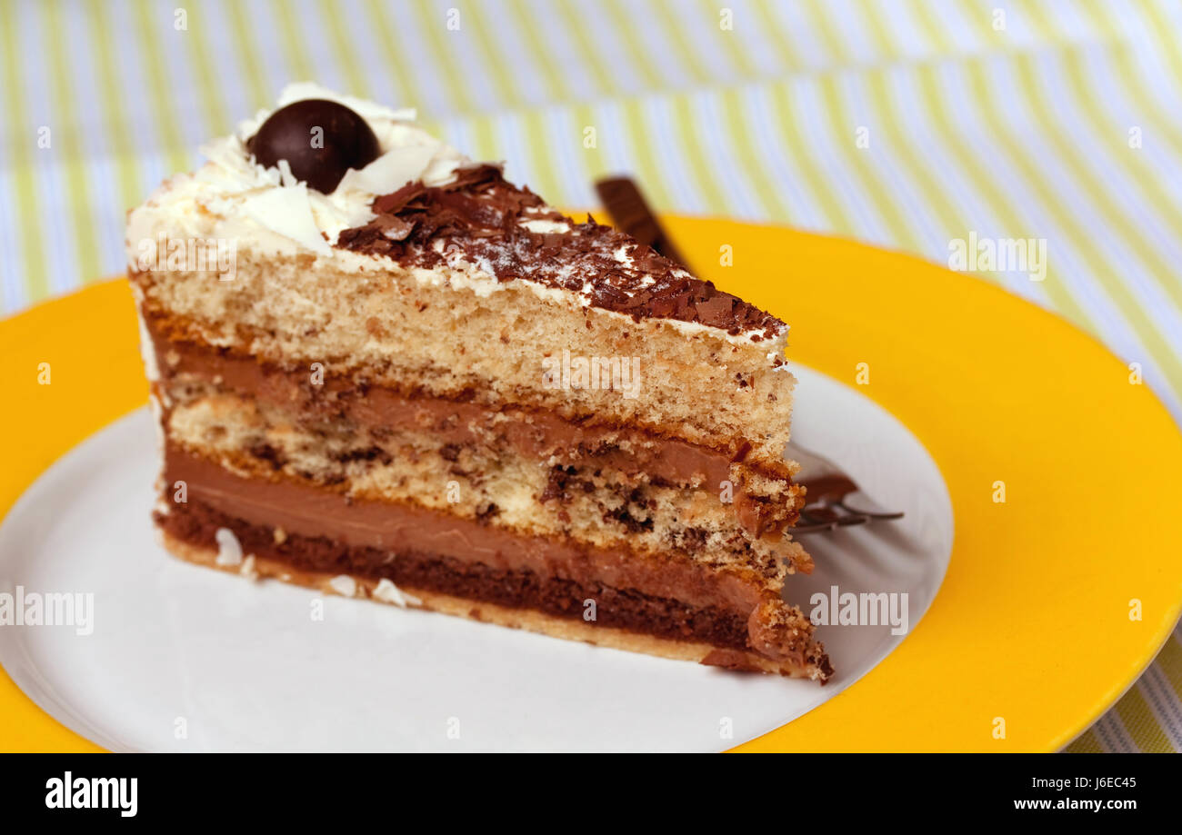 Nut Tart Filbert Hazelnut Nougat Dessert Chocolate Disc Cake Pie Stucco Nut Stock Photo Alamy Nut Tart Filbert Hazelnut Nougat Dessert Chocolate Disc Cake Pie Stucco Nut Stock Photo Alamy