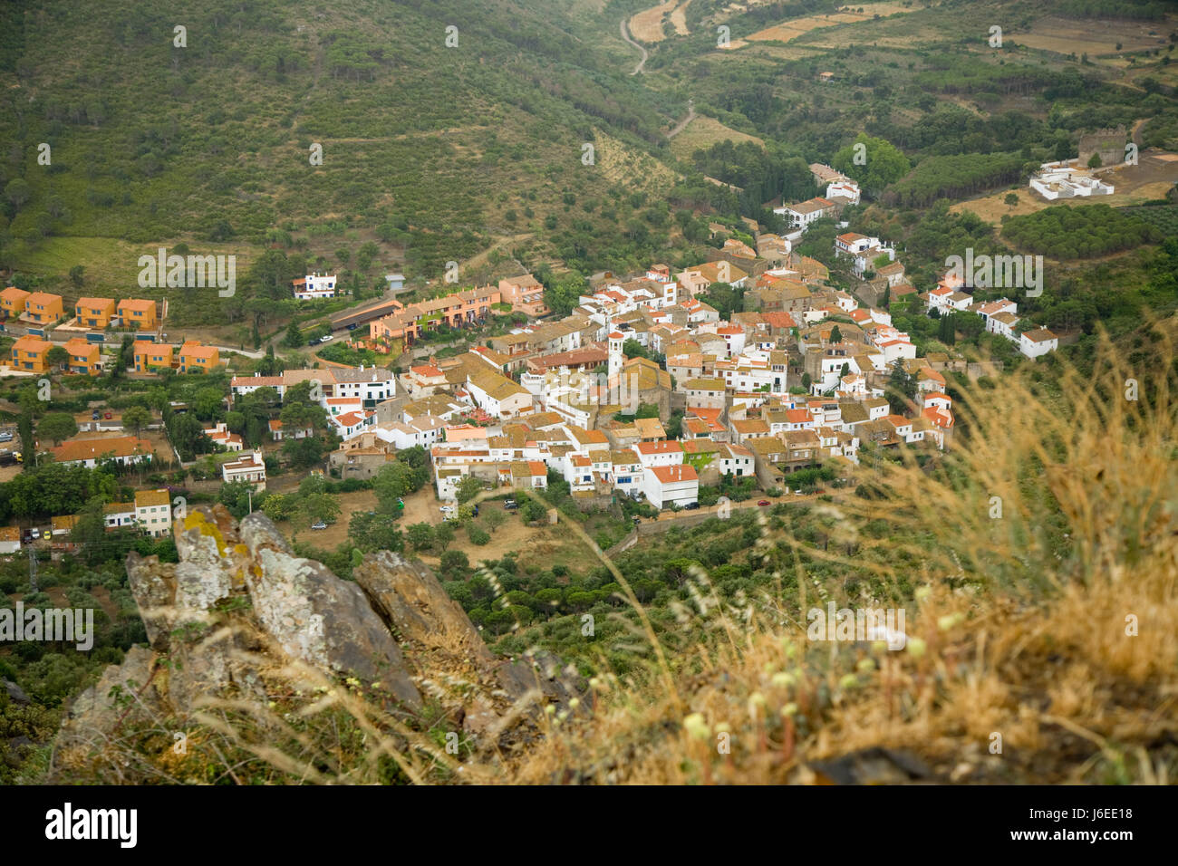 la selva de mar Stock Photo Alamy
