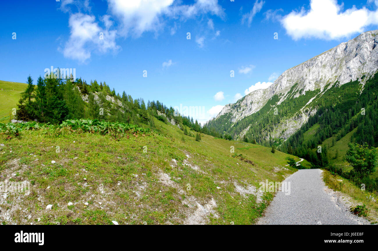 spring bouncing bounces hop skipping frisks jumping jump alpine ...