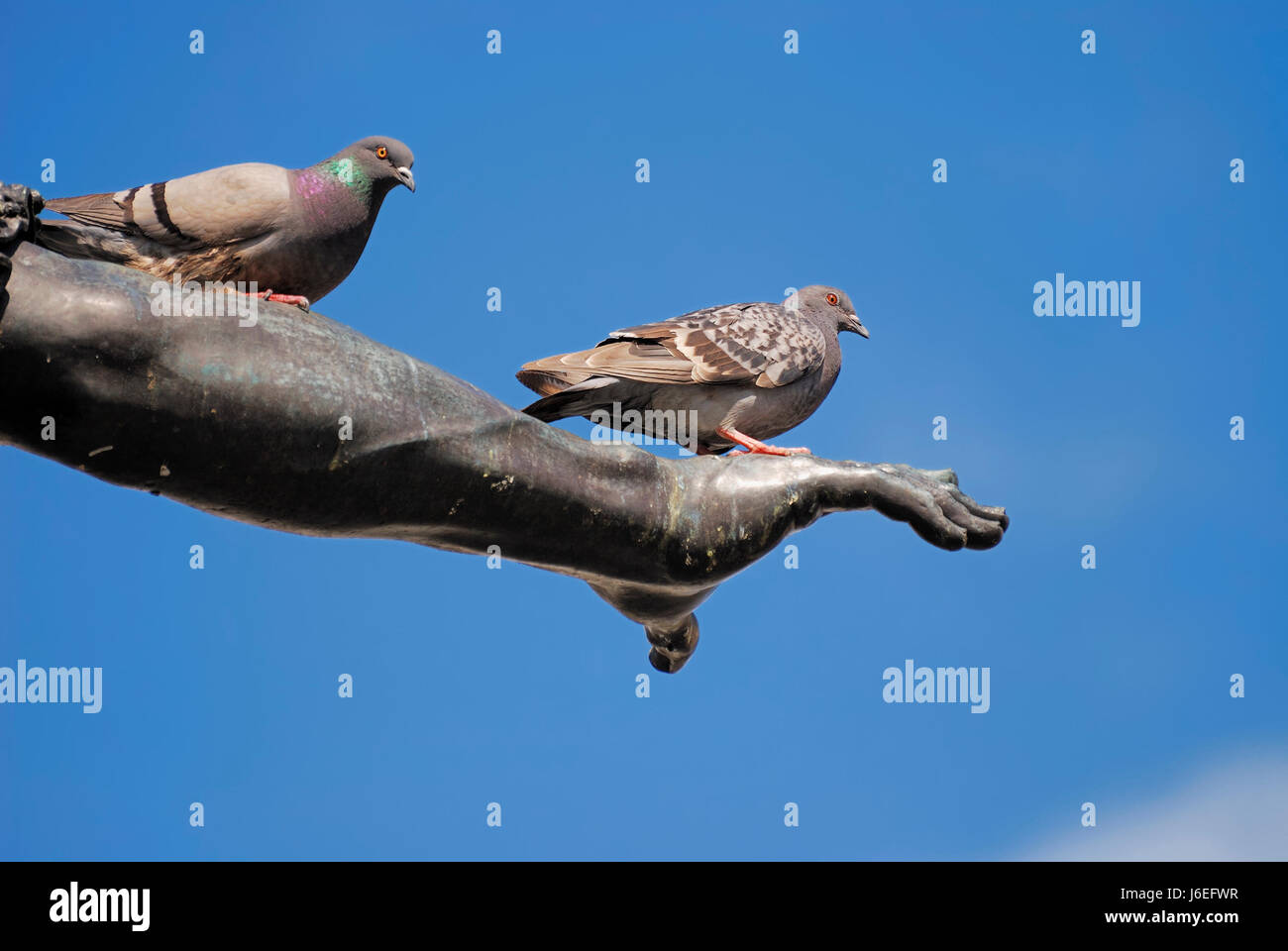 art bird sculpture pigeon arts firmament sky blue art animal bird animals Stock Photo