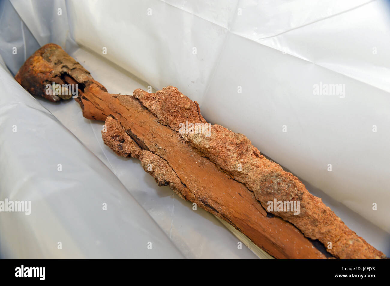 160817-N-PM781-003 WASHINGTON (Aug. 17, 2016) An M1 Garand rifle used by U.S. Marine Corps Raiders during the World War II attack on Japanese military forces on Makin Island is at Naval History and Heritage Command’s (NHHC) Underwater Archaeology Branch. Due to the rifle’s significant surface concretions, corrosion and other physical damage, NHHC Underwater Archaeology Branch is performing an assessment of the artifacts stability. (U.S. Navy photo by Arif Patani/Released) Stock Photo