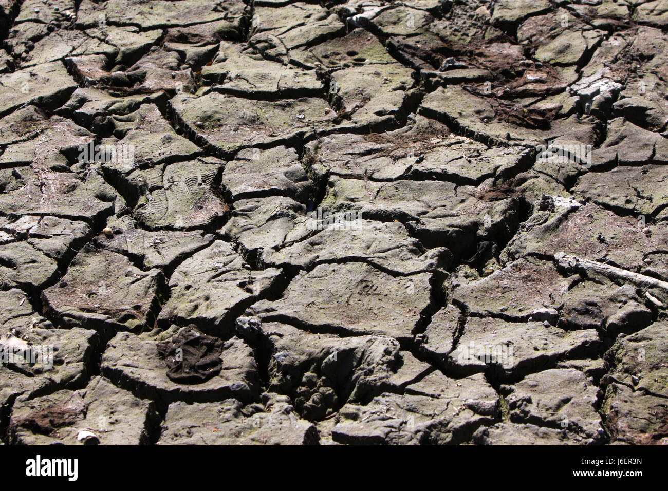 ground soil earth humus heat dry dried up barren crannies topsoil ...