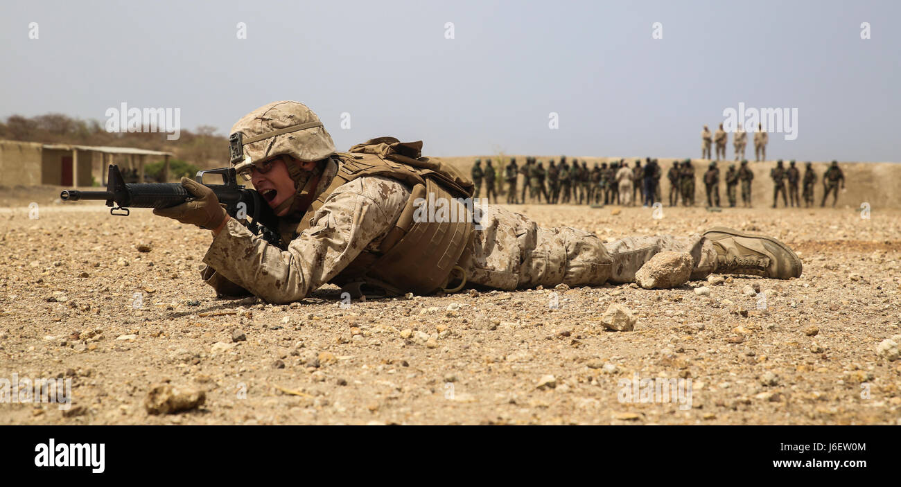 Marines conduct buddy rushing and live-fire training with Senegalese ...