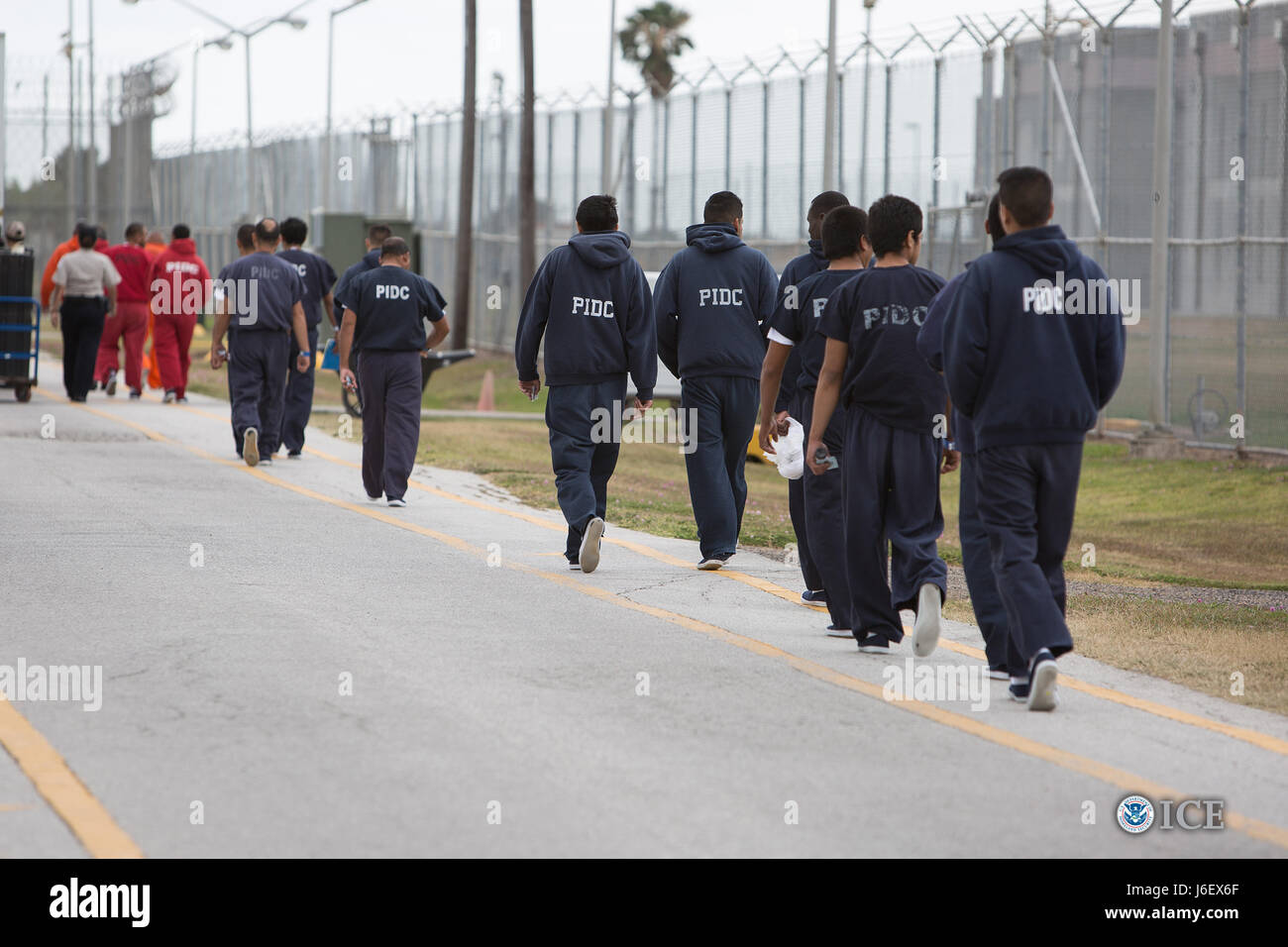 Detainees Are Transported And Walk Within The Perimeter Intrusion detainees-are-transported-and-walk-within-the-perimeter-intrusion