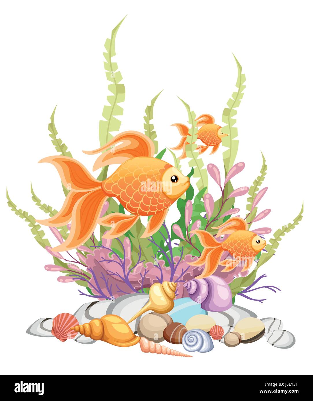 Vector illustration isolated on background Goldfish aquarium fish