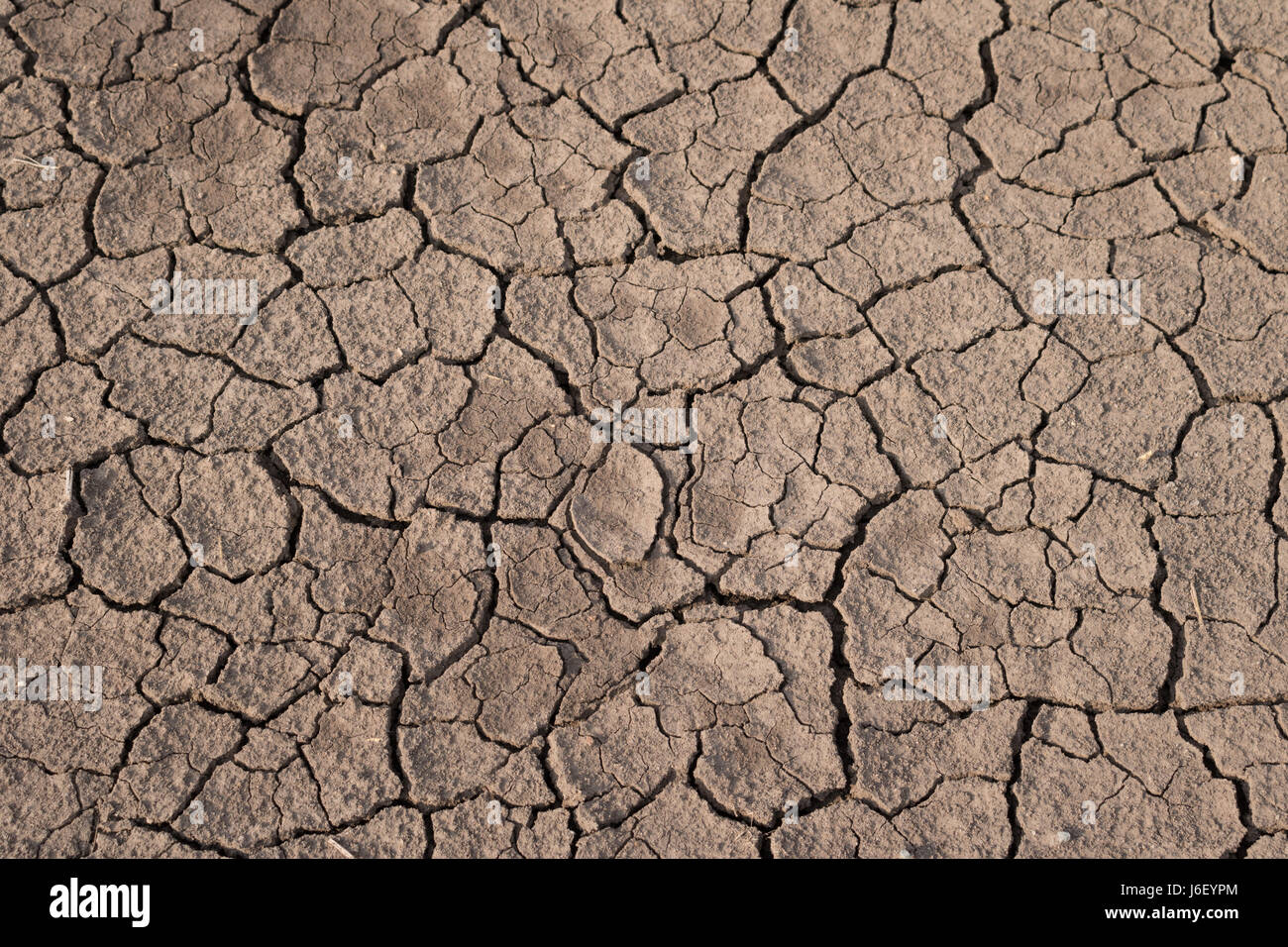 Dry and cracked earth texture. Global climate change Stock Photo - Alamy