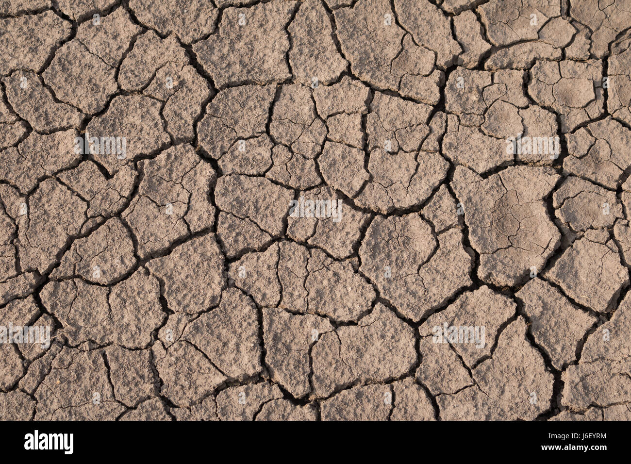 Dry and cracked earth texture. Global climate change Stock Photo - Alamy