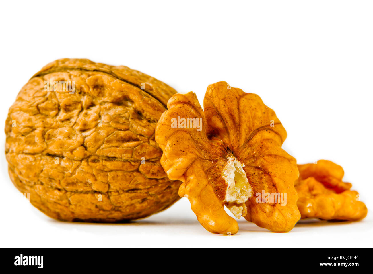 Walnut Open Shell shell open walnuts uncap backdrop background white food aliment object ...