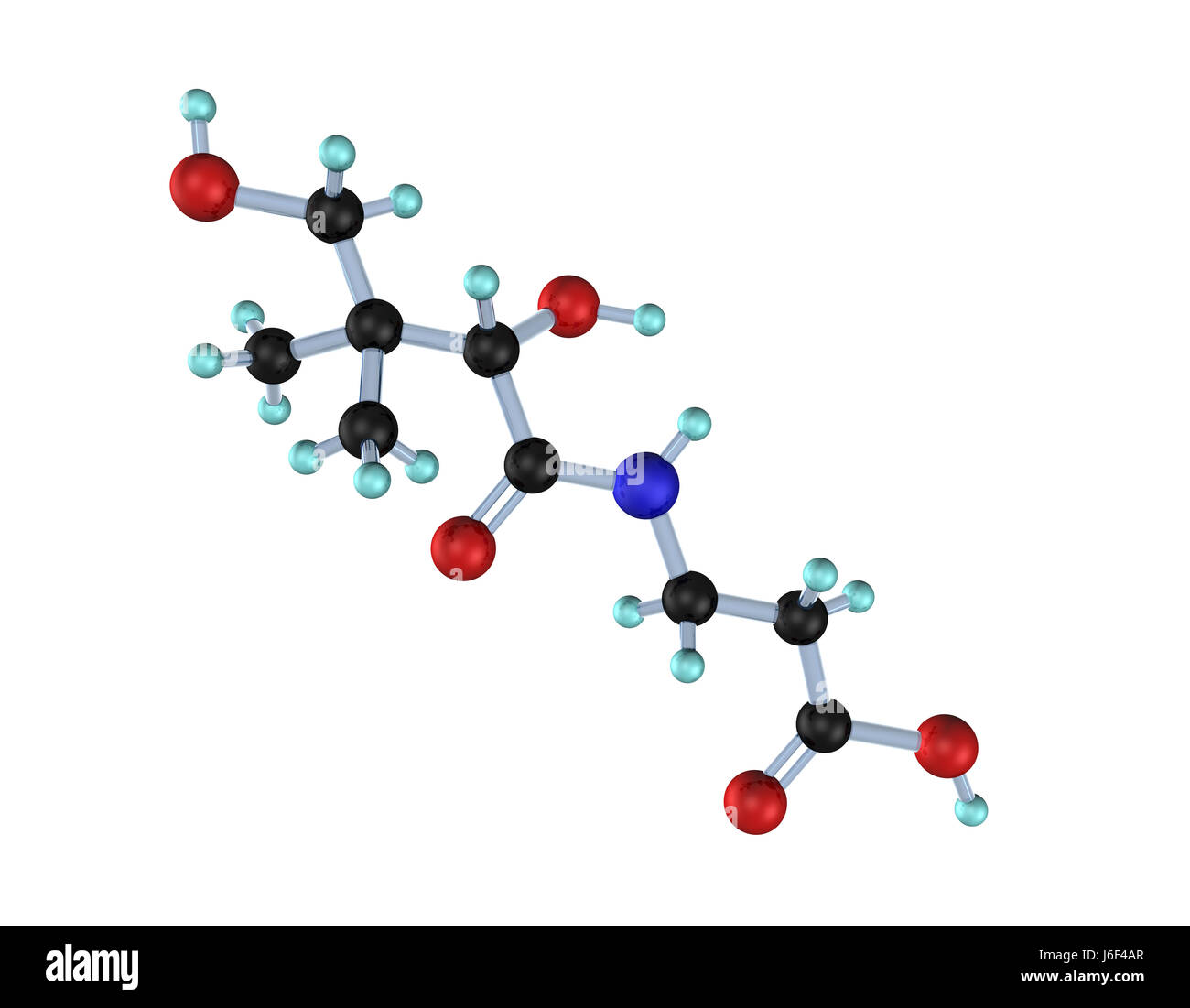 Pathothensure hires stock photography and images Alamy