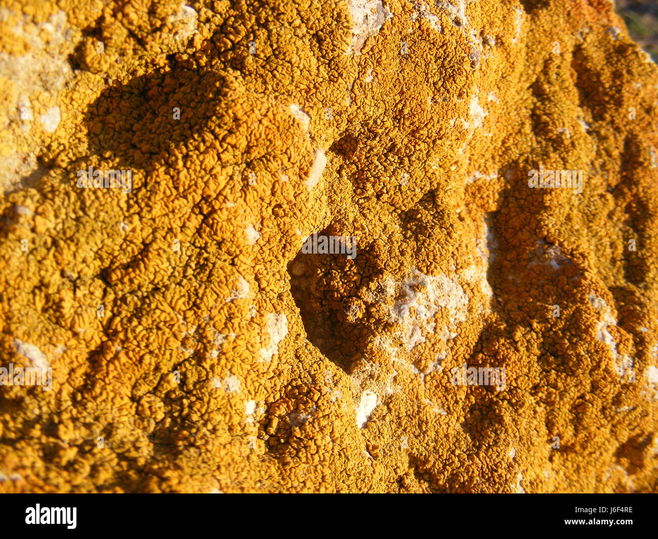 mossy big rocks, yellow mossy big rocks, old mossy rocks Stock Photo ...