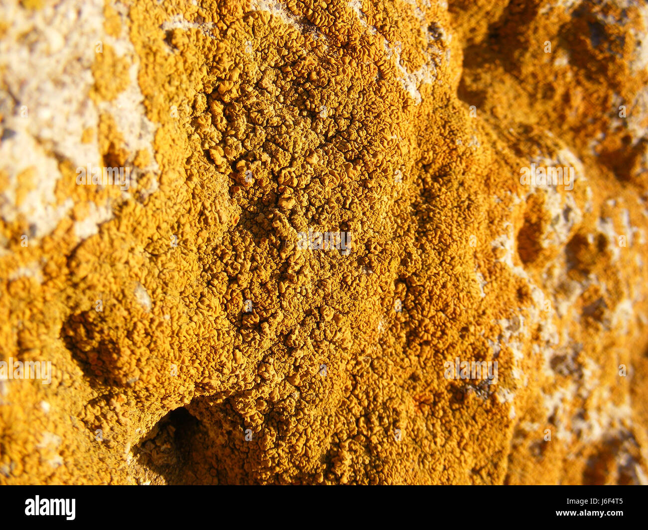 mossy big rocks, yellow mossy big rocks, old mossy rocks Stock Photo ...
