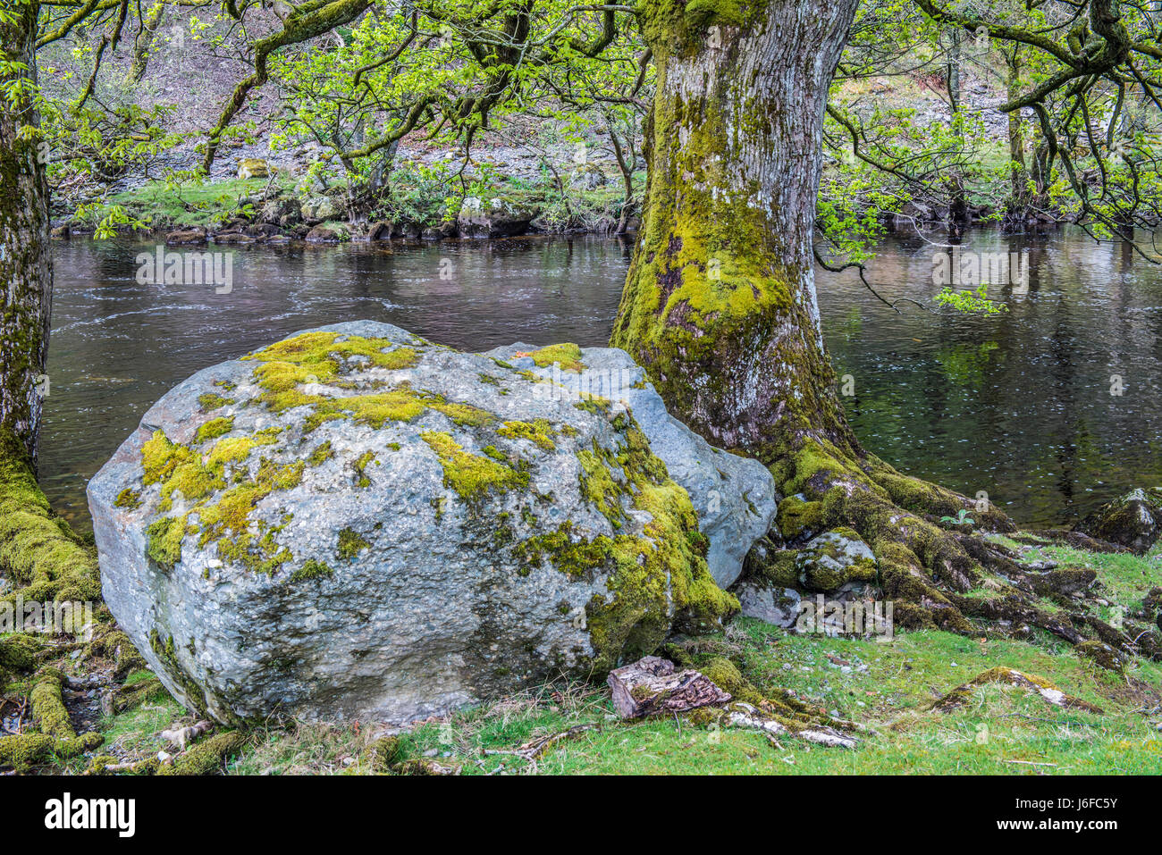 The River Elan at Elan Village in the Elan Valley Mid Wales Stock Photo