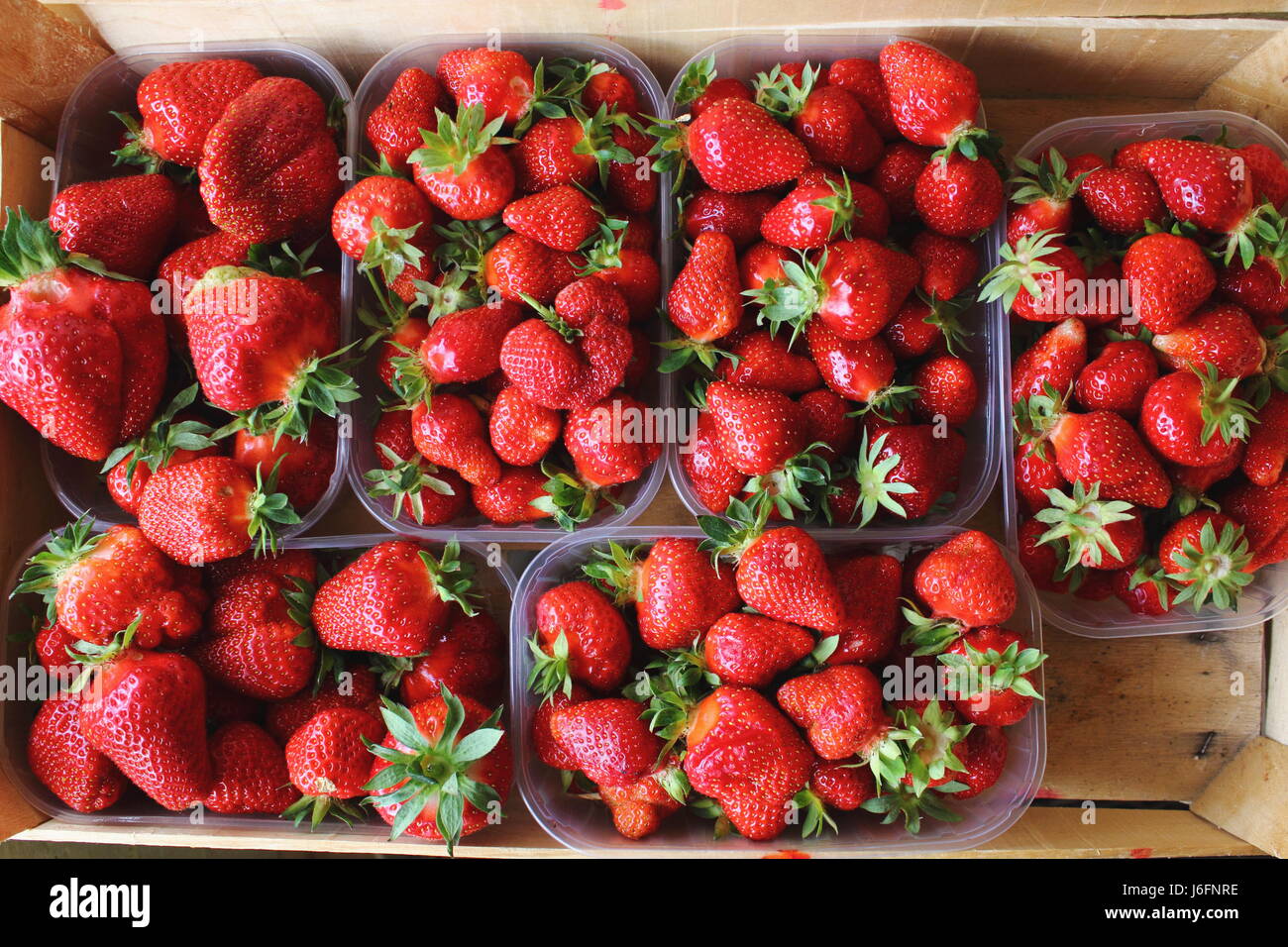 Strawberries in plastic containers Stock Photo Alamy