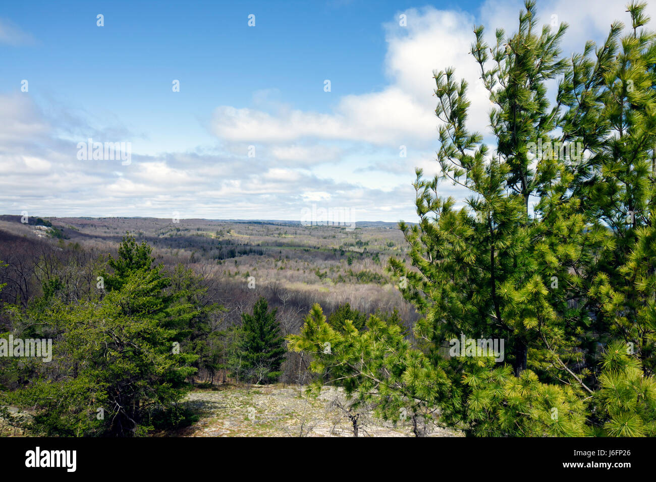 Marquette Michigan Upper Peninsula UP Lake Superior,Mt. Mount Marquette,overlook,early spring,Great Lakes,pine tree,landscape,MI090514035 Stock Photo