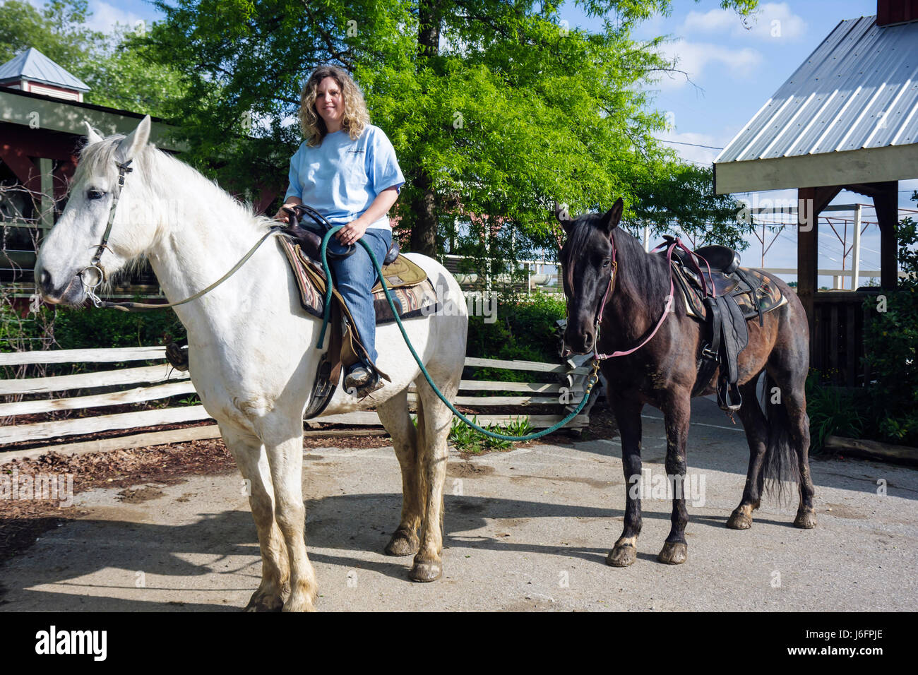 Sevierville Tennessee,Smoky Mountains,Five Oaks Riding Stables,horseback riding,woman female women,white,horse,animal,trail guide,working,work,employe Stock Photo