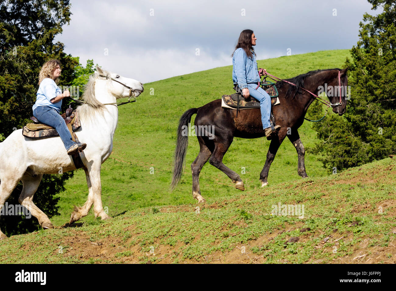 Sevierville Tennessee,Smoky Mountains,Five Oaks Riding Stables,horseback riding,adult adults woman women female lady,Native American,man,trail guide,h Stock Photo