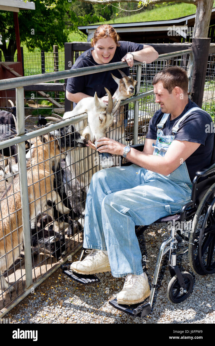 Sevierville Tennessee,Smoky Mountains,Smoky Mountain Deer Farm and