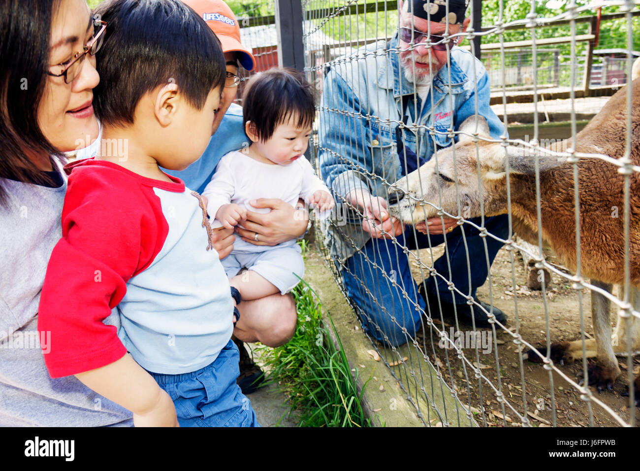 Sevierville Tennessee,Smoky Mountains,Smoky Mountain Deer Farm and