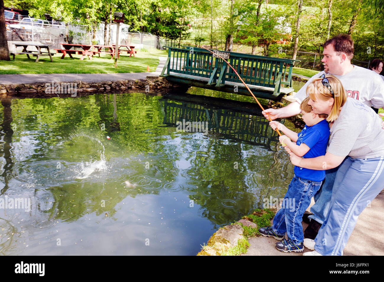 Sevierville Tennessee,Smoky Mountains,English Mountain Trout Farm and