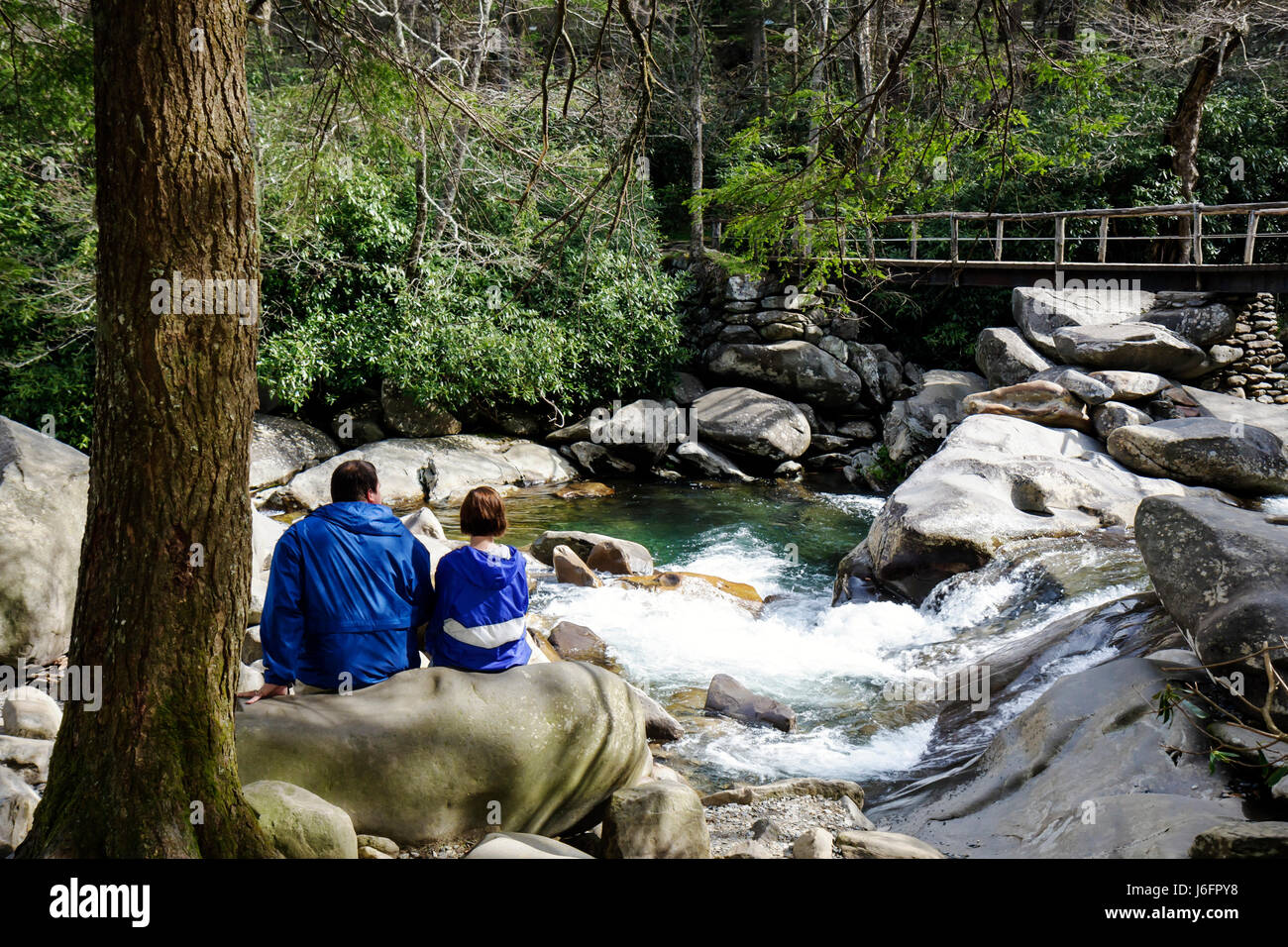 Tennessee Great Smoky Mountains National Park,Little Pigeon River water,adult adults man men male,woman women female lady,couple,rock,waterfall,bridge Stock Photo